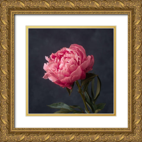 Perfectly Pink Gold Ornate Wood Framed Art Print with Double Matting by Maclean, Leah