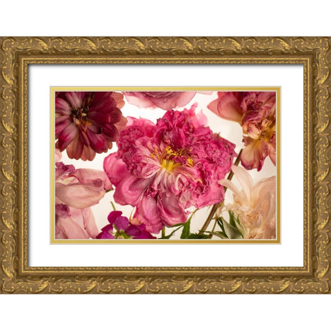 Peony on White Gold Ornate Wood Framed Art Print with Double Matting by Maclean, Leah