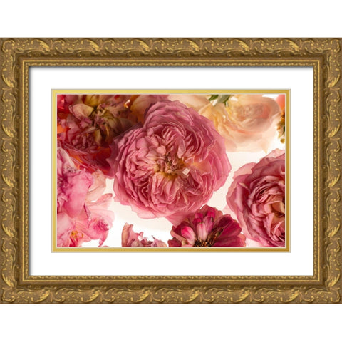 Rose on White Gold Ornate Wood Framed Art Print with Double Matting by Maclean, Leah