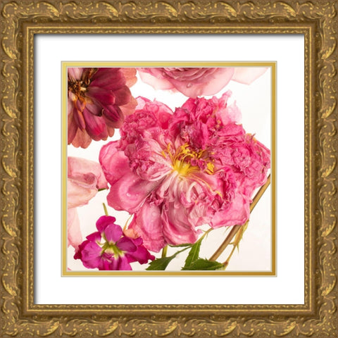 Peony Dream on White Gold Ornate Wood Framed Art Print with Double Matting by Maclean, Leah
