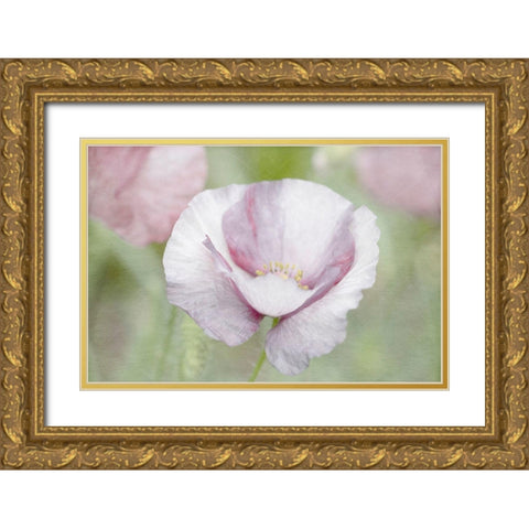 Soft Poppy Gold Ornate Wood Framed Art Print with Double Matting by Stalus, Judy