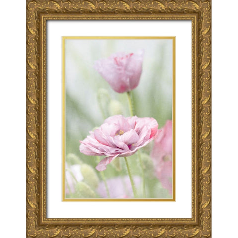 Two Poppies Gold Ornate Wood Framed Art Print with Double Matting by Stalus, Judy