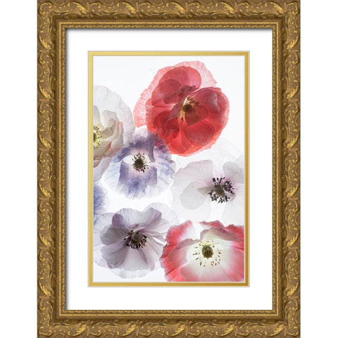 Dreaming Poppies Gold Ornate Wood Framed Art Print with Double Matting by Stalus, Judy