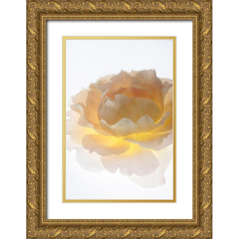 Luminance Gold Ornate Wood Framed Art Print with Double Matting by Stalus, Judy