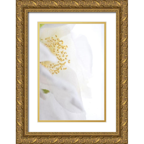 Gold Cup Gold Ornate Wood Framed Art Print with Double Matting by Stalus, Judy