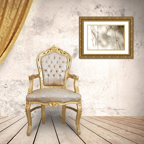 Grass at Dawn Gold Ornate Wood Framed Art Print with Double Matting by Stalus, Judy