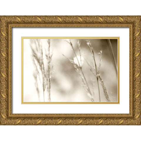 Grass at Dawn Gold Ornate Wood Framed Art Print with Double Matting by Stalus, Judy