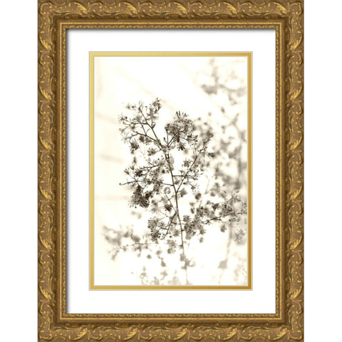 Spent Gold Ornate Wood Framed Art Print with Double Matting by Stalus, Judy