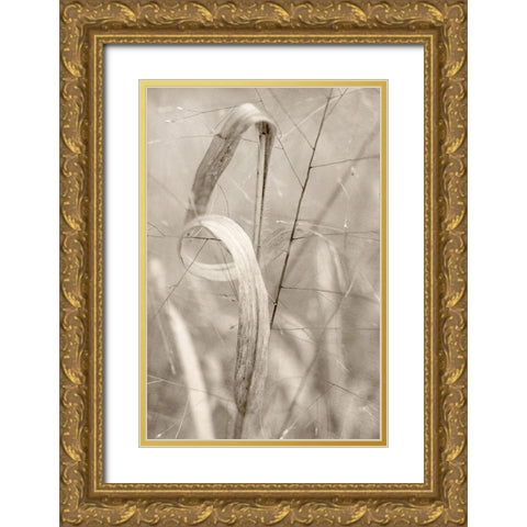 Meadow Grass Gold Ornate Wood Framed Art Print with Double Matting by Stalus, Judy