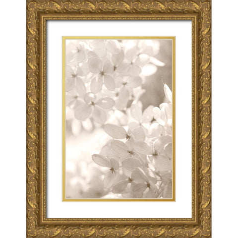 Sunlight Gold Ornate Wood Framed Art Print with Double Matting by Stalus, Judy