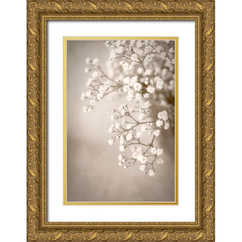 Cascade Gold Ornate Wood Framed Art Print with Double Matting by Stalus, Judy