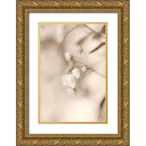 Softly Gold Ornate Wood Framed Art Print with Double Matting by Stalus, Judy