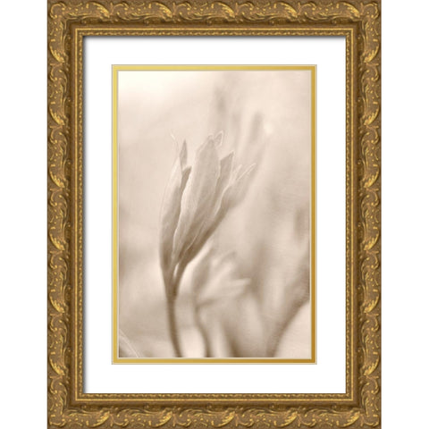Reaching Gold Ornate Wood Framed Art Print with Double Matting by Stalus, Judy