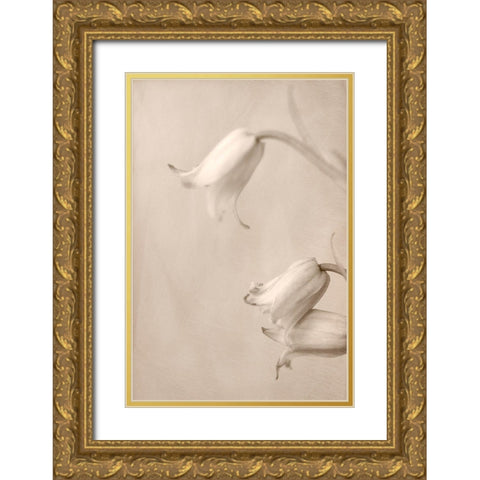 Bells Gold Ornate Wood Framed Art Print with Double Matting by Stalus, Judy