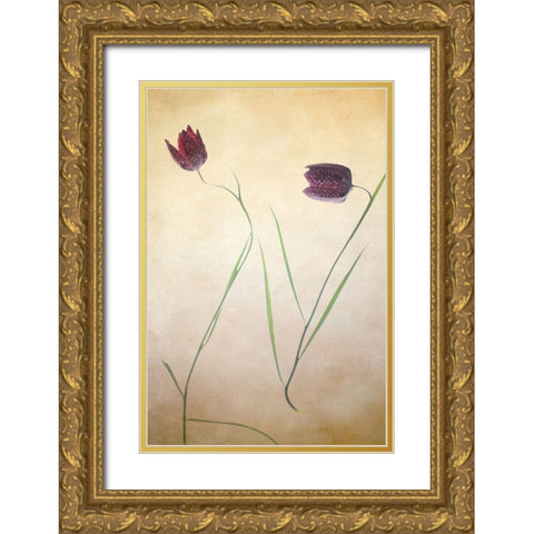Fritillare II Gold Ornate Wood Framed Art Print with Double Matting by Stalus, Judy