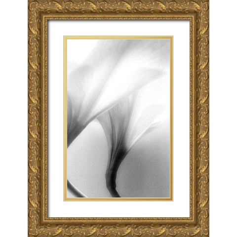 Jeavenly Gold Ornate Wood Framed Art Print with Double Matting by Stalus, Judy