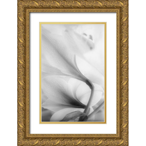 Reach for the Sky Gold Ornate Wood Framed Art Print with Double Matting by Stalus, Judy