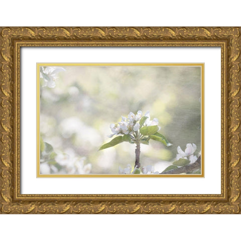 Apple Tree Gold Ornate Wood Framed Art Print with Double Matting by Stalus, Judy