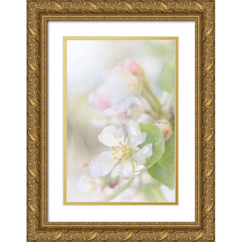 Sunlit Blossom Gold Ornate Wood Framed Art Print with Double Matting by Stalus, Judy