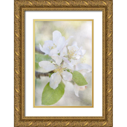 Blooms Gold Ornate Wood Framed Art Print with Double Matting by Stalus, Judy