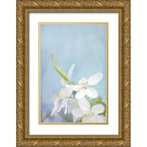 Blue Sky Gold Ornate Wood Framed Art Print with Double Matting by Stalus, Judy