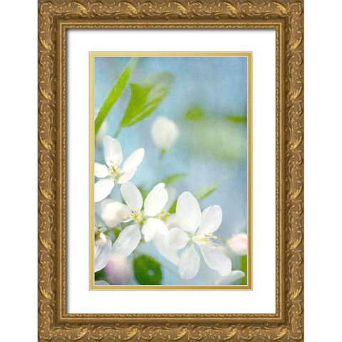 Spring Time Gold Ornate Wood Framed Art Print with Double Matting by Stalus, Judy