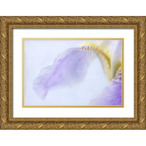 Iris Gold Ornate Wood Framed Art Print with Double Matting by Stalus, Judy