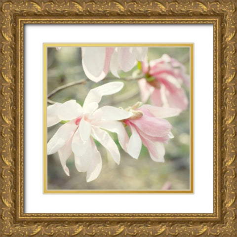 Magnolias Gold Ornate Wood Framed Art Print with Double Matting by Stalus, Judy