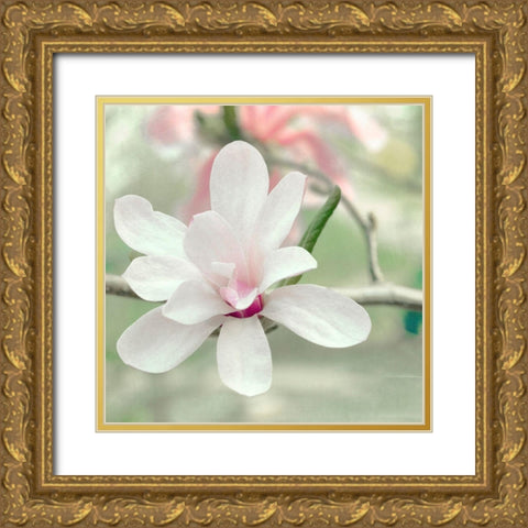 Magnolia Blossom Gold Ornate Wood Framed Art Print with Double Matting by Stalus, Judy