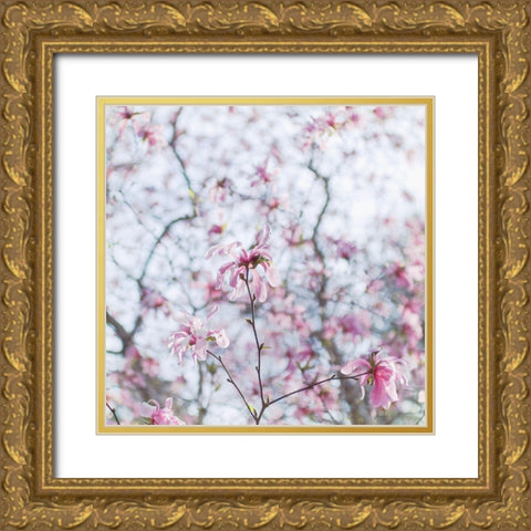 Magnolia Tree Gold Ornate Wood Framed Art Print with Double Matting by Stalus, Judy