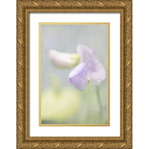 Purple Sweet Pea Gold Ornate Wood Framed Art Print with Double Matting by Stalus, Judy