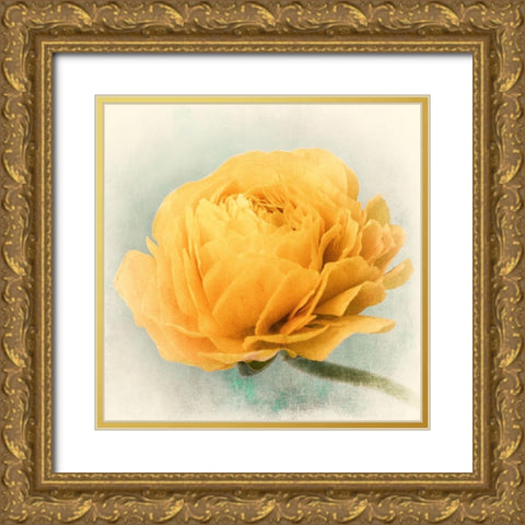 Golden Gold Ornate Wood Framed Art Print with Double Matting by Stalus, Judy