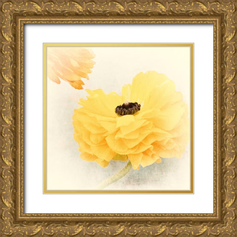 Frills Gold Ornate Wood Framed Art Print with Double Matting by Stalus, Judy