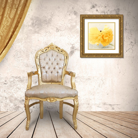 Tutu Gold Ornate Wood Framed Art Print with Double Matting by Stalus, Judy