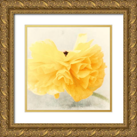 Tutu Gold Ornate Wood Framed Art Print with Double Matting by Stalus, Judy