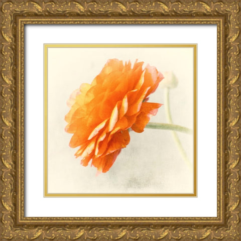 Orange Gold Ornate Wood Framed Art Print with Double Matting by Stalus, Judy