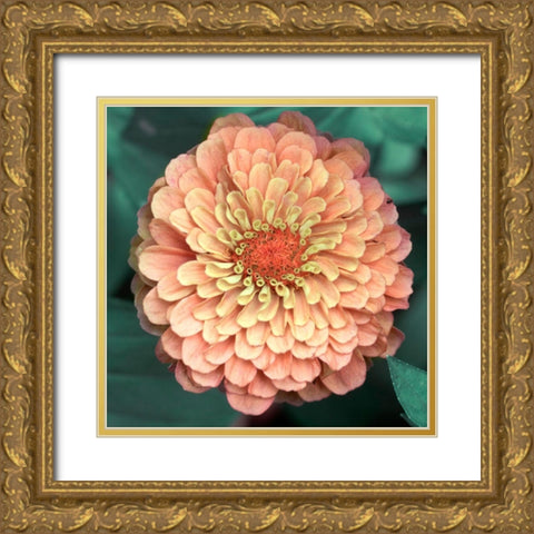 Scrumptuous Gold Ornate Wood Framed Art Print with Double Matting by Stalus, Judy
