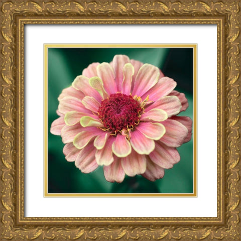 Pretty Lass Gold Ornate Wood Framed Art Print with Double Matting by Stalus, Judy