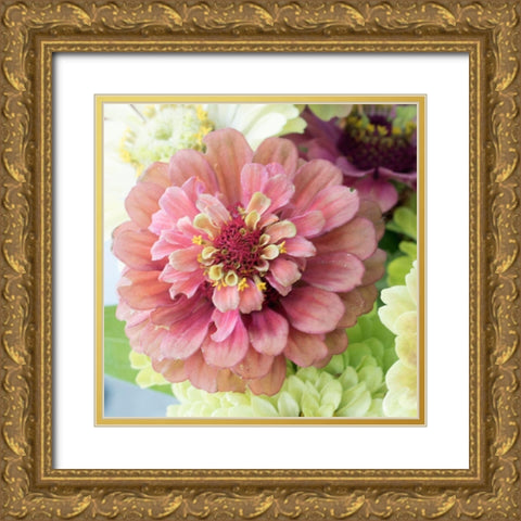 Pink Lasy Gold Ornate Wood Framed Art Print with Double Matting by Stalus, Judy