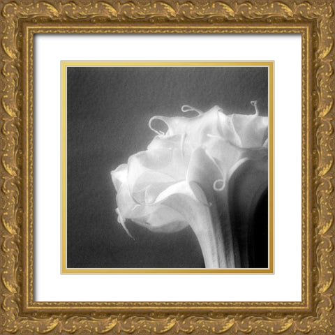 Light Gold Ornate Wood Framed Art Print with Double Matting by Stalus, Judy