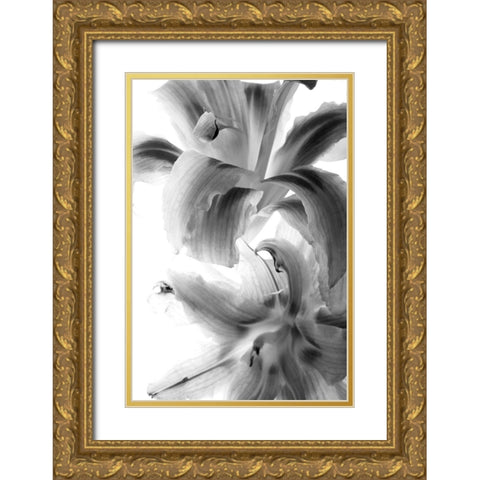 Fire Works Gold Ornate Wood Framed Art Print with Double Matting by Stalus, Judy