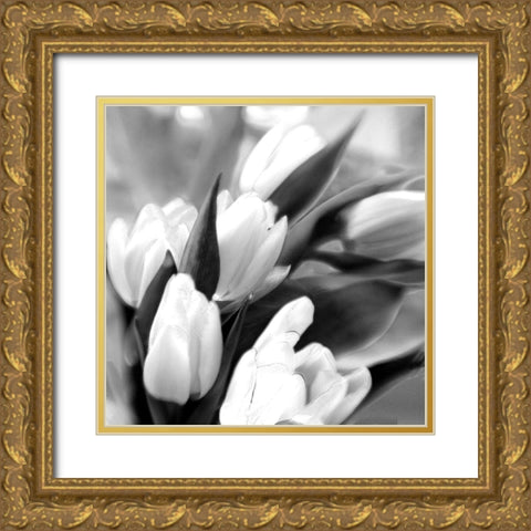 Tulip Dream Gold Ornate Wood Framed Art Print with Double Matting by Stalus, Judy