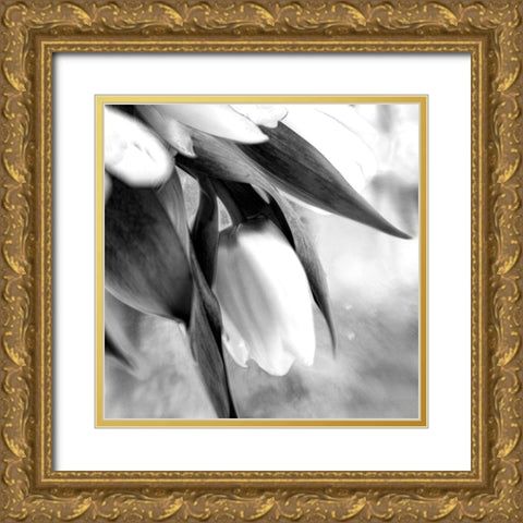 Remember Gold Ornate Wood Framed Art Print with Double Matting by Stalus, Judy