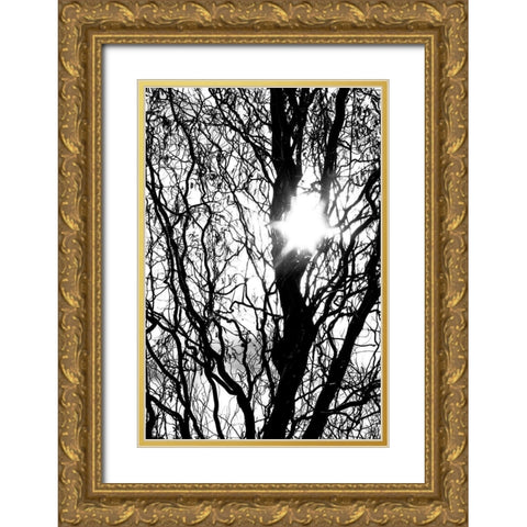 Break Through Gold Ornate Wood Framed Art Print with Double Matting by Stalus, Judy