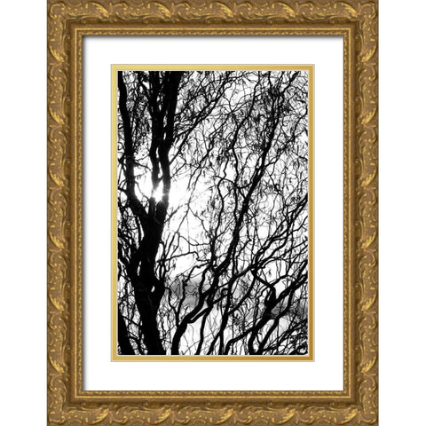 Miracle Gold Ornate Wood Framed Art Print with Double Matting by Stalus, Judy