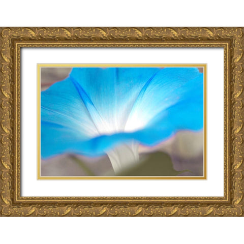 blue Gold Ornate Wood Framed Art Print with Double Matting by Stalus, Judy