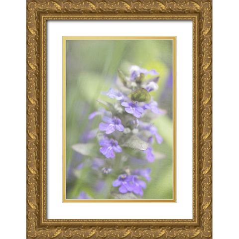 Blue Morning Gold Ornate Wood Framed Art Print with Double Matting by Stalus, Judy