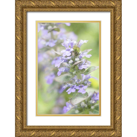 Blue Light Gold Ornate Wood Framed Art Print with Double Matting by Stalus, Judy