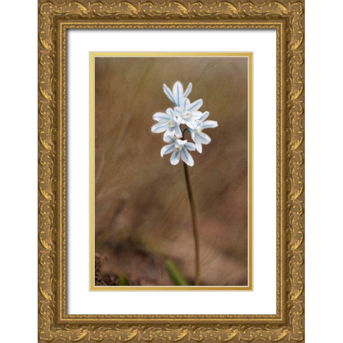 Spring Gold Ornate Wood Framed Art Print with Double Matting by Stalus, Judy