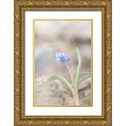 Spring Morning Gold Ornate Wood Framed Art Print with Double Matting by Stalus, Judy